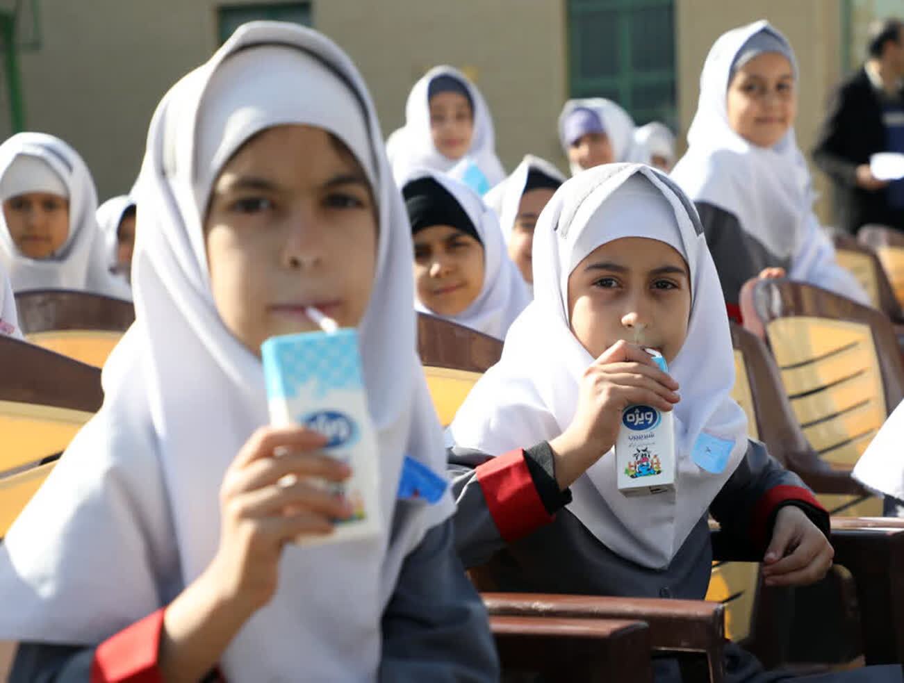 توزیع شیر در مدارس قم از ۱۵ آذر