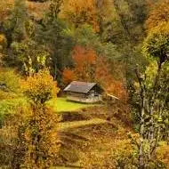 طبیعت بکر در دل جنگل های پاییزی گیلان