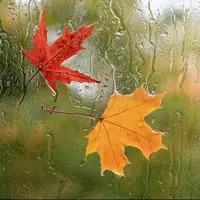 تداوم فعالیت سامانه بارشی و کاهش دما در خوزستان