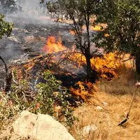 ثبت سالانه ۱۸ هزار آتش‌سوزی در کشور