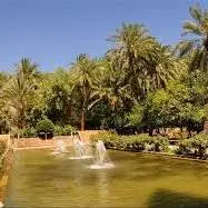 باغ گلشن طبس ؛عروس زیبای کویر در خراسان جنوبی