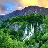 جنگل پاسند،جنگلی مه‌آلود در قلب بهشهر