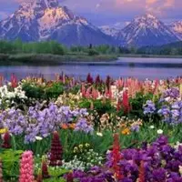 گردشگری/معرفی 10 شهر پر توریست در ایران