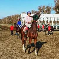 کورس گنبدکاووس در ایستگاه چهارم با ۷۱ میلیارد ریال جایزه