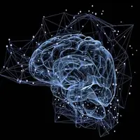 مداری پنهان در مغز دید بصری ما را بازنویسی می‌کند