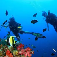 جزیره کورون در فیلیپین ،ربهشتی برای علاقه مندان به غواصی و غواصی 