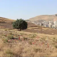 سرنوشت محوطه باستانی یکمیلیون ساله کرمانشاه چه میشود؟