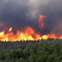 مهار کامل آتش‌سوزی در استان گلستان