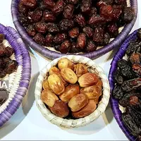 تولید ۲۱۰ هزار تن خرما در بوشهر؛ بسته‌بندی ۴۵ هزار تن برای صادرات