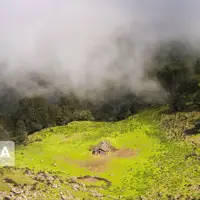 کشف ردپای «نئاندرتال‌ها» در قلب جنگل‌های هیرکانی