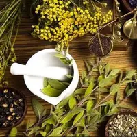 بهترین دمنوش‌ها برای روزهای آلودگی هوا