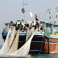واردات ادوات صیادی مخرب به گمرک‌های استان بوشهر ممنوع شد