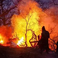 بررسی علت آتش‌سوزی جنگل‌های هیرکانی روی میز دستگاه قضا