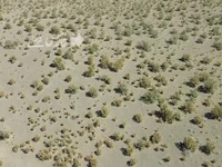 ویدئویی از ورود اتباع غیرمجاز به استان کرمان