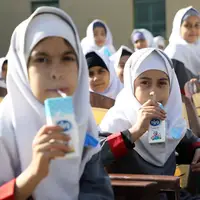 توزیع شیر در مدارس قم از ۱۵ آذر