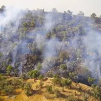 مهار کامل آتش‌سوزی در سه شهرستان گلستان