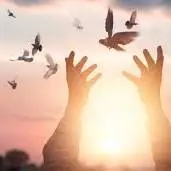 بلایی که دچار می‌شویم متناسب با استعدادمان است!