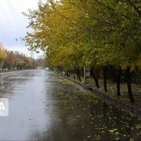 دمای هوای قزوین کاهش می‌یابد