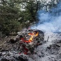 آتش در گونیلی کلاله اطفا شد