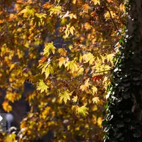 تصاویری از طبیعت پاییزی مشهد