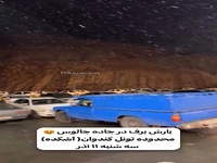 بارش برف در جاده چالوس