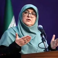 مهاجرانی: تعامل با آژانس را طبق قوانین مجلس دنبال خواهیم کرد