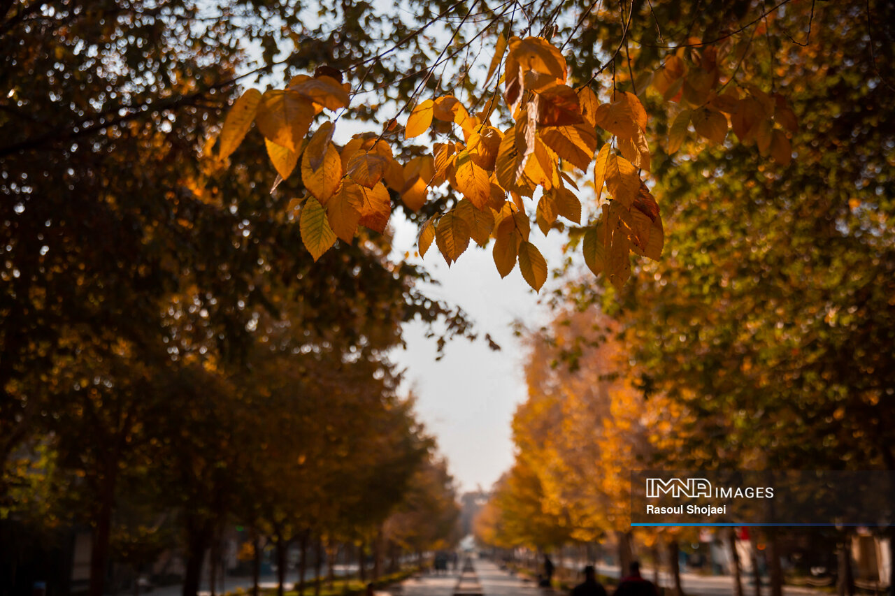 پاییز هزار رنگ اصفهان با زاینده رودی در حسرت آب