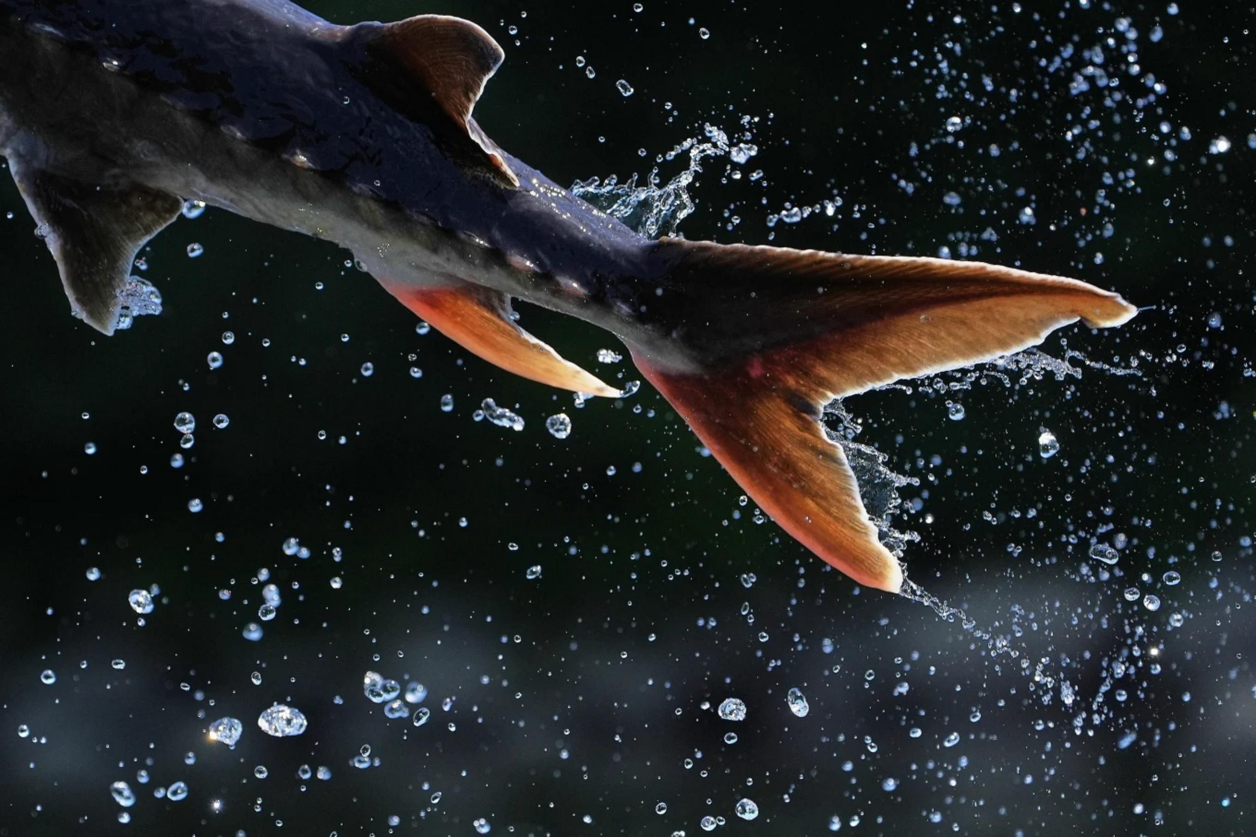 سال ۲۰۲۵ به روایت تصویر