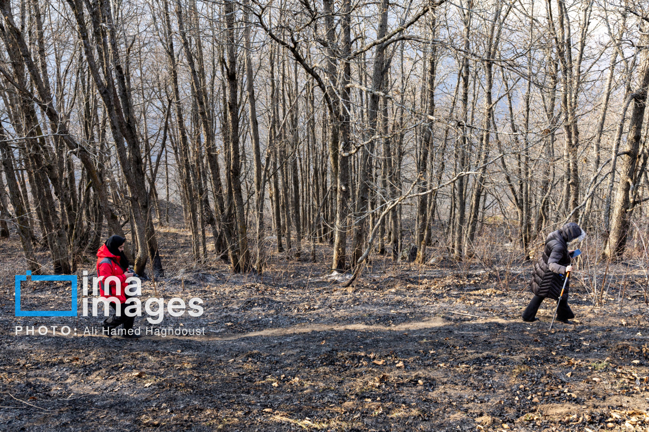 عکس/ سوز و گداز دیزمار