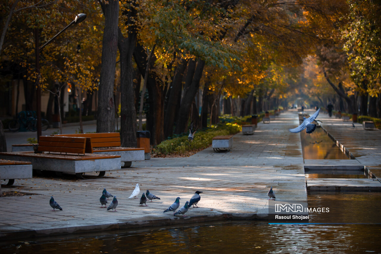 پاییز هزار رنگ اصفهان با زاینده رودی در حسرت آب