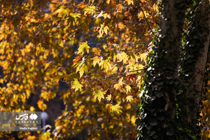 تصاویری از طبیعت پاییزی مشهد