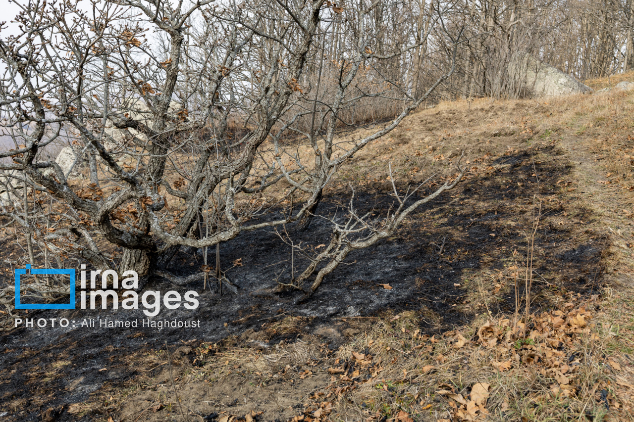 عکس/ سوز و گداز دیزمار