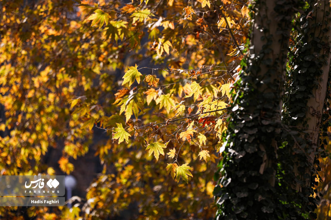 تصاویری از طبیعت پاییزی مشهد
