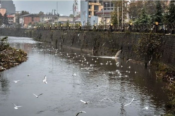 ۶۰ درصد از رودخانههای رشت لایروبی شد