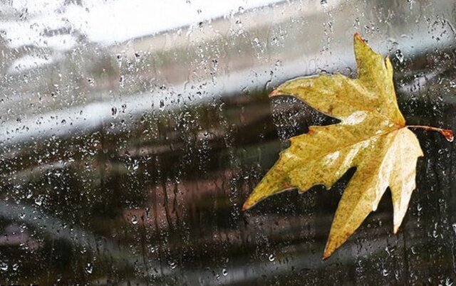 بارش‌های پراکنده برای امروز در استان یزد