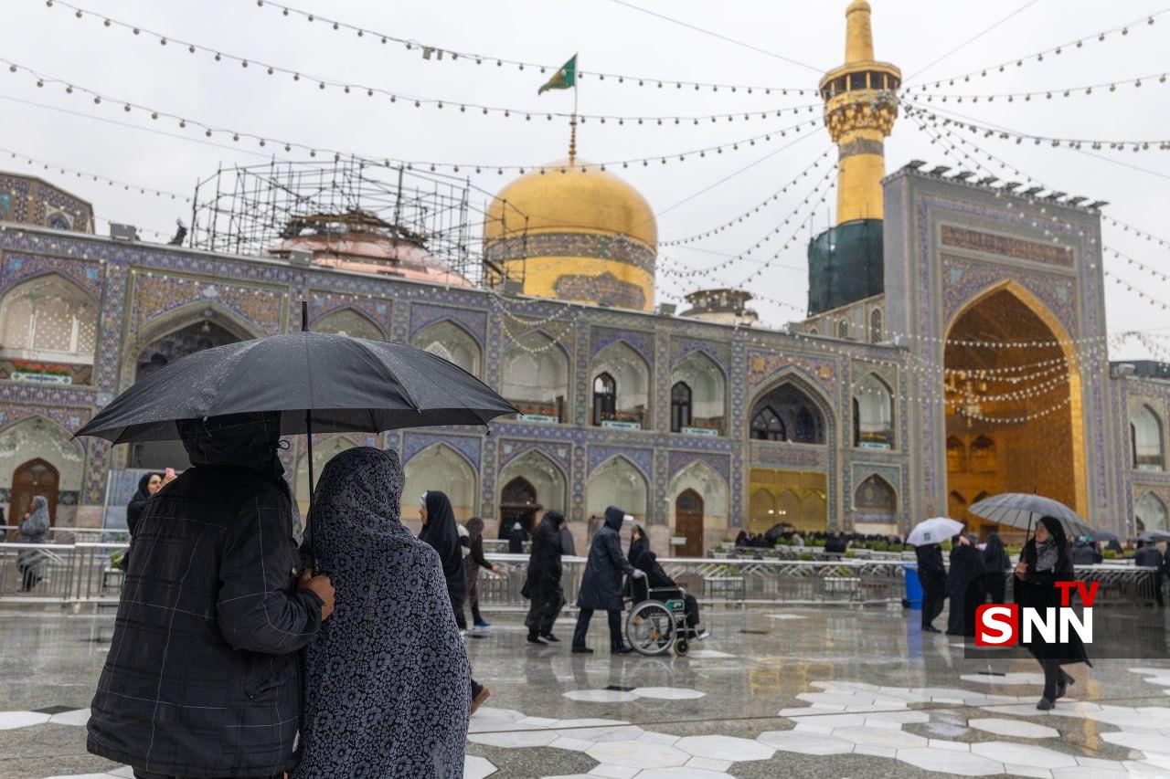 عکس/ باز باران زنده کرده بوی زیبای بهشت