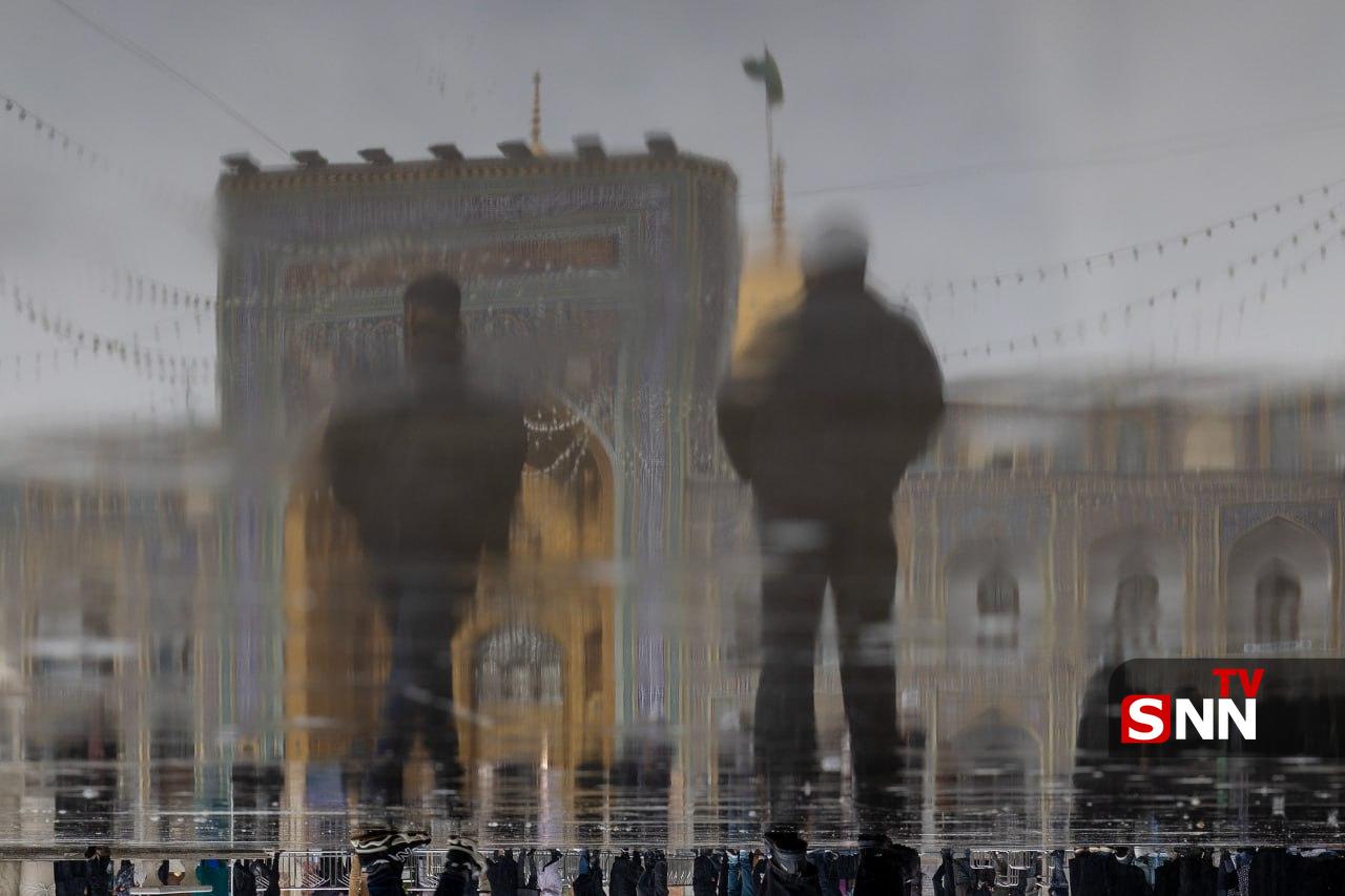 عکس/ باز باران زنده کرده بوی زیبای بهشت