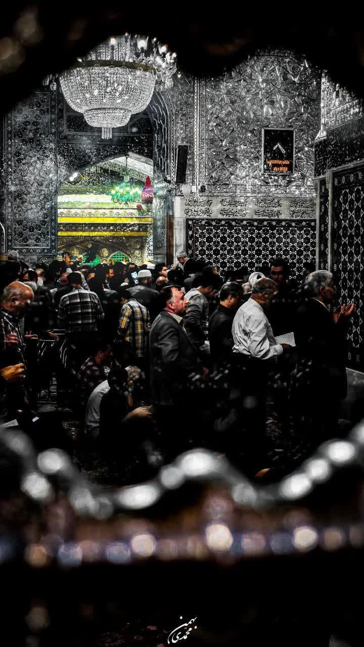  چند قاب زیبا از حرم مطهر امام رضا (ع)  
