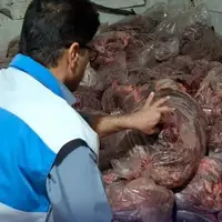 ۵۲۶ کیلوگرم گوشت غیربهداشتی در لرستان معدوم شد