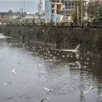 ۶۰ درصد از رودخانه‌های رشت لایروبی شد