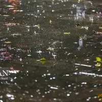 داداشی: بارش باران و برف و کاهش دید در خراسان شمالی پیش‌بینی می‌شود