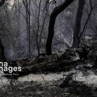 آتش‌سوزی جنگل‌های چورت ساری مهار شد