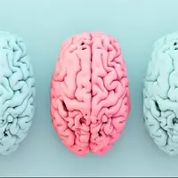 ارتباط شگفت‌انگیز میان یک ماده مغذی کلیدی، چاقی و خطر آلزایمر