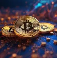 بازار ارزهای مجازی پرواز کرد