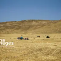 کشت فراسرزمینی گلستان در ازبکستان کلید خورد