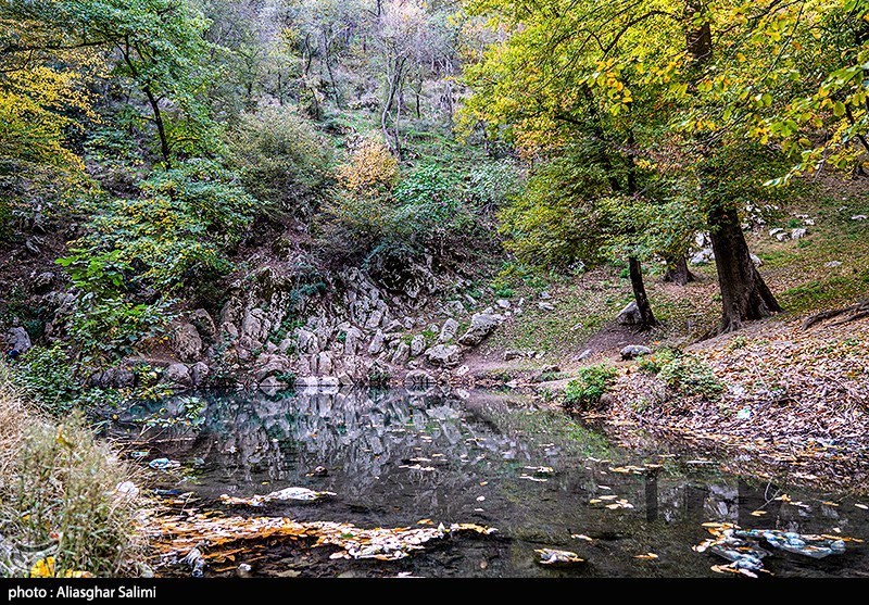 طبیعت پاییزی چشمه لال گلستان