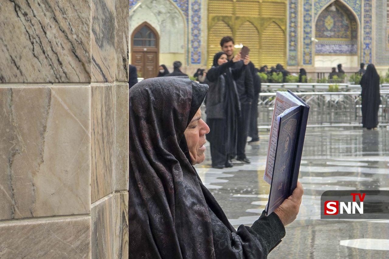 عکس/ باز باران زنده کرده بوی زیبای بهشت