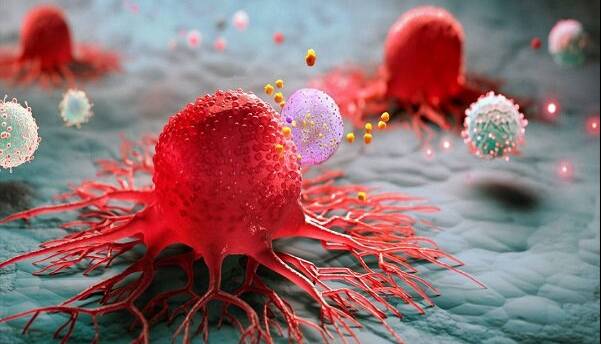 چگونه سرطان باعث مرگ میشود؟ نظریه جدید لخته شدن خون