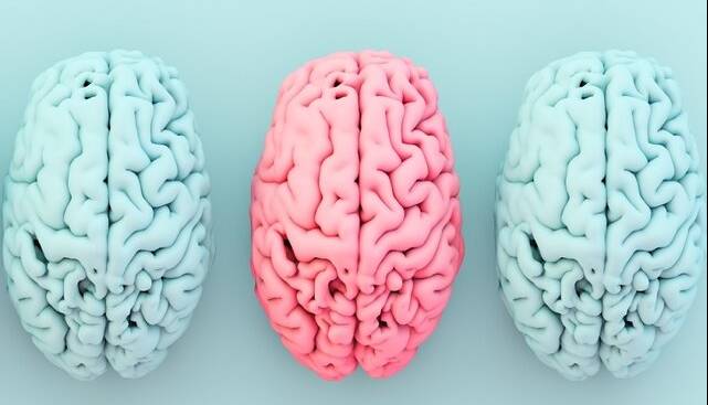 ارتباط شگفتانگیز میان یک ماده مغذی کلیدی، چاقی و خطر آلزایمر