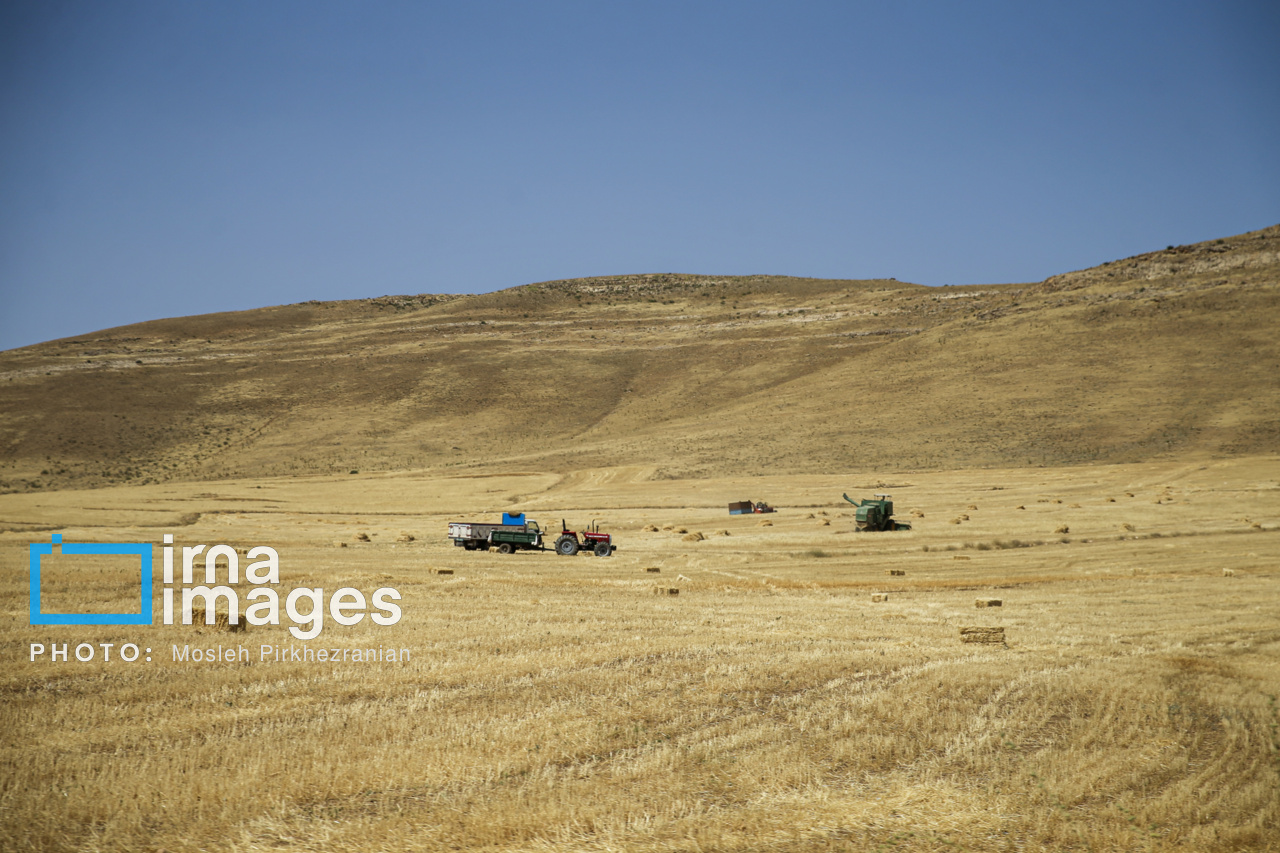 کشت فراسرزمینی گلستان در ازبکستان کلید خورد